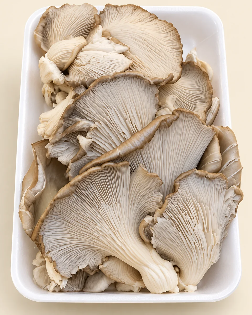 İstiridye Mantarı 1 kg